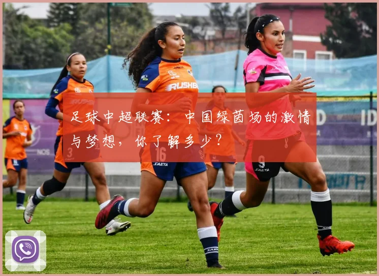 足球中超联赛:中国绿茵场的激情与梦想,你了解多少?